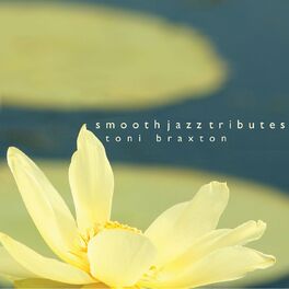 Album cover of Smooth Jazz Tributes Toni Braxton