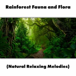 Album cover of Rainforest Fauna and Flora (Natural Relaxing Melodies)