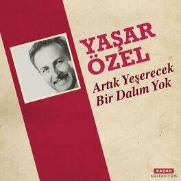 Album cover of Artık Yeşerecek Bir Dalım Yok