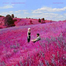 Album cover of Waiting For