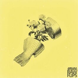 Album cover of Raw Flips (Instrumentals)