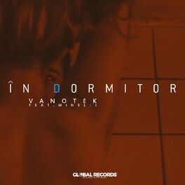 Album cover of In Dormitor
