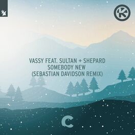 Album cover of Somebody New (Sebastian Davidson Remix)