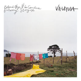 Album cover of Valdivia