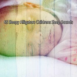 Album cover of 65 Sleepy Alligators Childrens Sleep Sounds