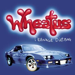Album cover of Teenage Dirtbag