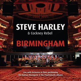 Album cover of Birmingham - Live with Orchestra & Choir