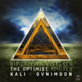 Album cover of The Optimist Remixes