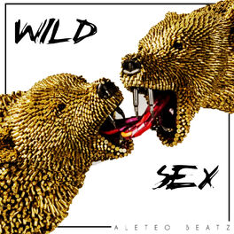 Album cover of Wild Sex
