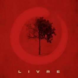 Album cover of Livre