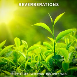 Album cover of Reverberations