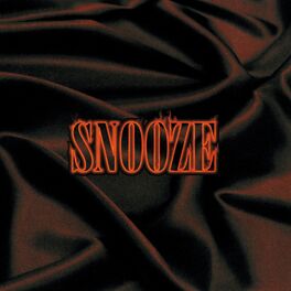 Album cover of Snooze