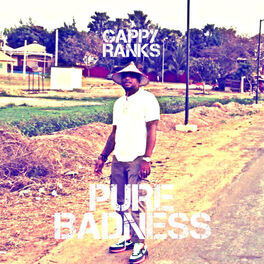 Album cover of Pure Badness