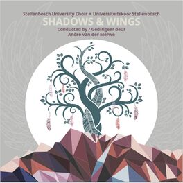 Album cover of Shadows and Wings