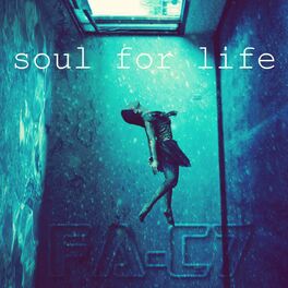 Album cover of Soul for Life
