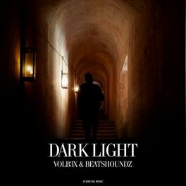 Album cover of Dark Light