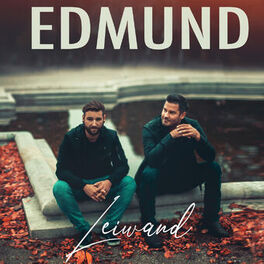 Album cover of Leiwand