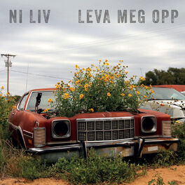 Album cover of Leva meg opp