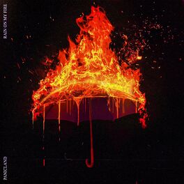 Album cover of Rain on My Fire