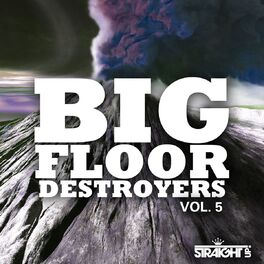 Album cover of Big Floor Destroyers Vol. 5