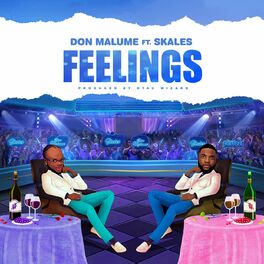Album cover of Feelings (feat. Skales)