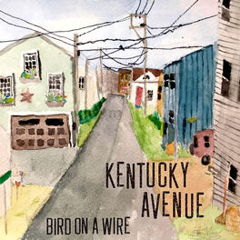 Album cover of Bird on a Wire