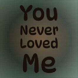 Album cover of You Never Loved Me