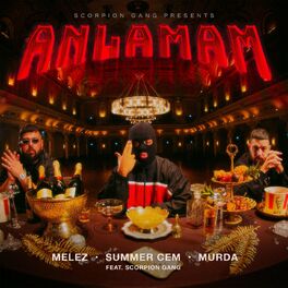 Album cover of ANLAMAM (feat. Scorpion Gang)