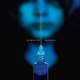 Album cover of Anesthetize