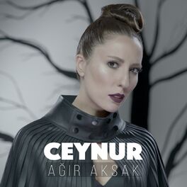 Album cover of Ağır Aksak