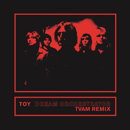 Album cover of Dream Orchestrator (TVAM Remix)