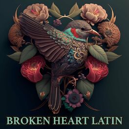 Album cover of Broken Heart Latin