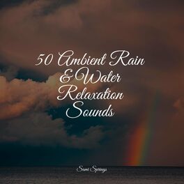 Album cover of 50 Gentle Rain Sounds for Sleep and Serenity