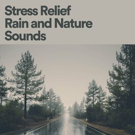 Album cover of Stress Relief Rain and Nature Sounds