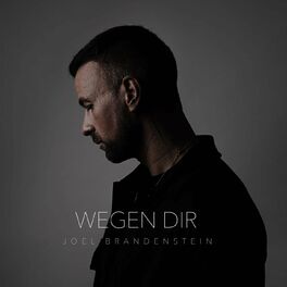 Album cover of Wegen Dir