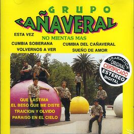 Album cover of No Mientas Mas
