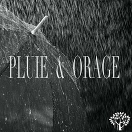 Album cover of Pluie & Orage