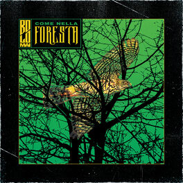 Album cover of Come nella foresta