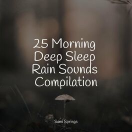 Album cover of 25 Morning Deep Sleep Rain Sounds Compilation