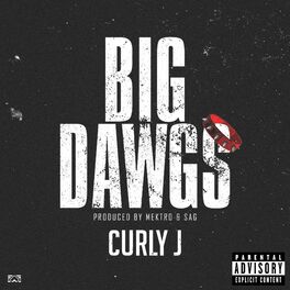 Album cover of Big Dawgs