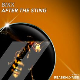 Album cover of After The Sting