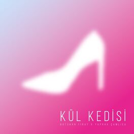Album cover of Kül Kedisi