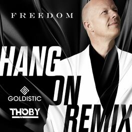 Album cover of Hang On (Goldistic & Thoby Remix)