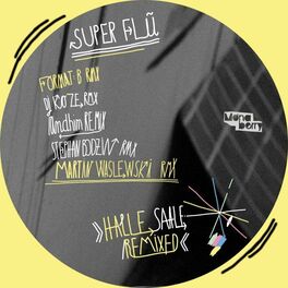 Album cover of Halle Saale Remixed