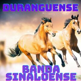 Album cover of Duranguense, Banda Sinaloense