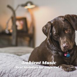 Album cover of Ambient Music: Rest Melodies for Dogs Vol. 1