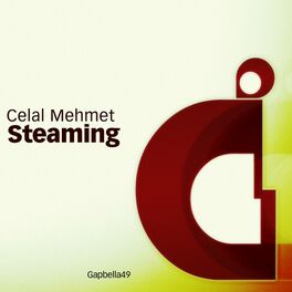 Album cover of Steaming