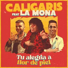 Album cover of Tu Alegría a Flor de Piel