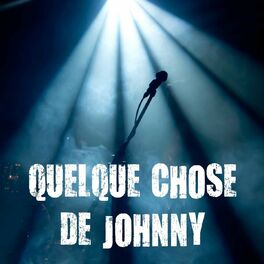 Album cover of Quelque chose de Johnny (40 chansons inoubliables)