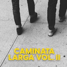 Album cover of Caminata larga vol. II